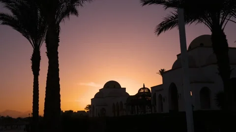 Gradient color light sky, palms tree and Arabic old palace сastle resort hotel 動画素材 196121360