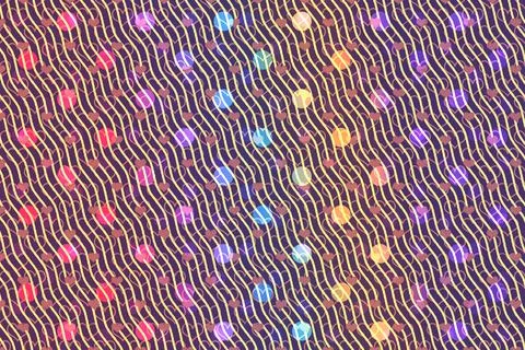 Gradient  dots pattern texture background. Modern dotted template  for design Stock Illustration