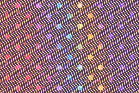 Gradient  dots pattern texture background. Modern dotted template  for desi.. 스톡 일러스트