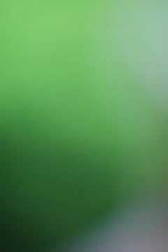 Gradient green background with smooth transition for branding and design pr.. Stock Photos