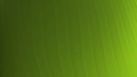 Gradient of green colors in a curved pattern suitable for background Video stock 326086826