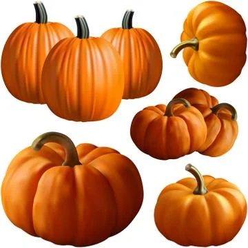 Gradient Mesh Vector Illustration of a Photo Realistic Pumpkin Stock Illustration