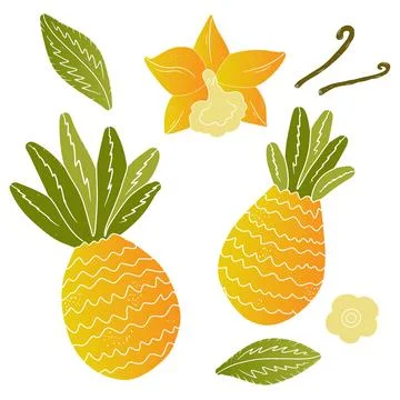 Gradient Pineapples. Tropical exotic set. Texture vector elements 스톡 일러스트