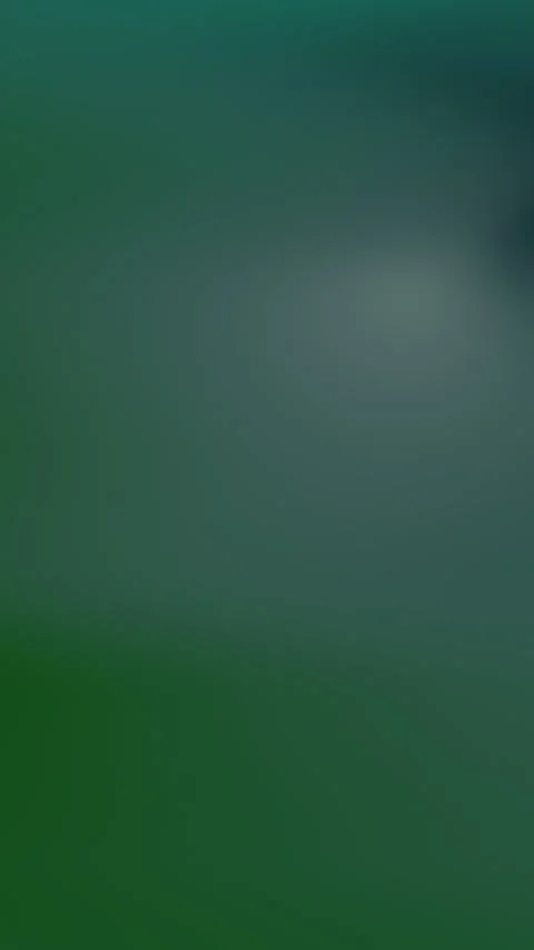 Gradient Potrait 20 Video stock 327802543