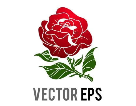 Gradient red elegant rose flower with green leafs Stock Illustration