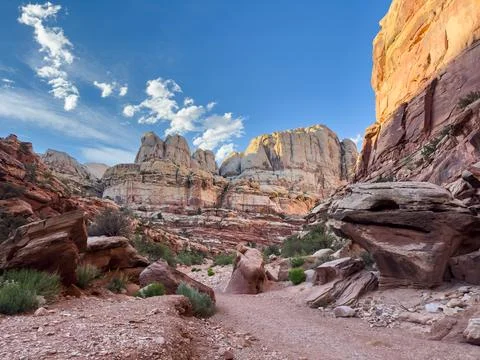 Gradient Of Red to White Rocks In Capitol Gorge 库存照片