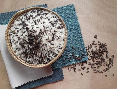 Gradient rice 写真素材