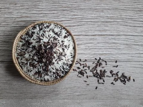 Gradient rice 写真素材