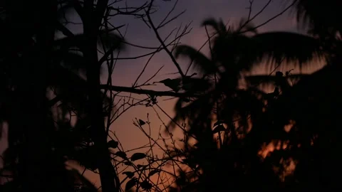 Gradient sky view Stock Footage 172586729