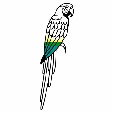 Gradient Tropical Parrot Illustration vector illustration design 152 库存插图
