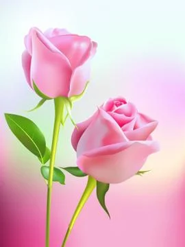 Gradient vector pink realistic rose. Stock Illustration