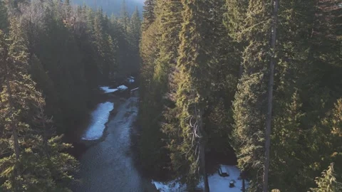 Gradually Rising Above River and Forest Canopy Stock Footage 296510597