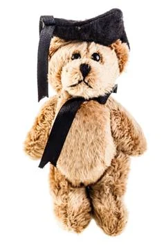 Graduated bear Stock Photos