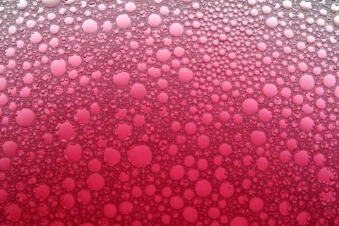 Graduated pink bubbles background. Stock Photos