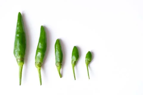 Graduated size sequence of fresh green bird's eye chilies or cabe rawit hijau Stock Photos