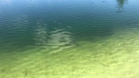 Graduated view of lake edge with small water ripples Stock Footage 132662190