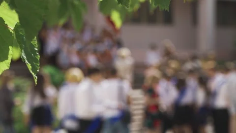 Graduates on a blurred background behind grape leaves Stock Footage 109298854