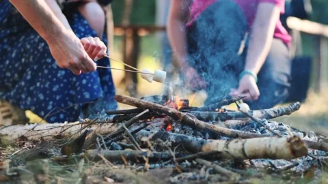 Graduating students sharing marshmallows near crackling campfire, marking Stock Footage 316903824