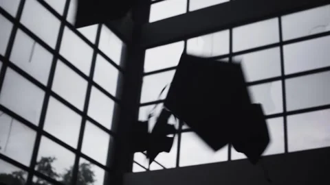 Graduation Caps Being Thrown in the Air Stock Footage 345551406
