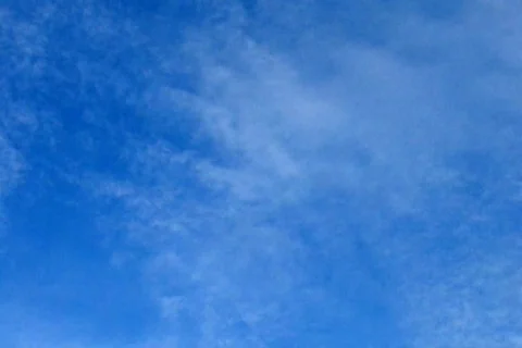 Graduation Cheer Stock Footage 335144