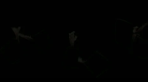 Graduation Hats with Alpha 6secs Video stock 11910722