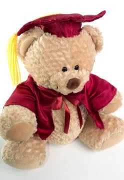 Graduation Teddy Bear Stock-Fotos