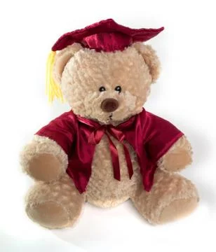 Graduation Teddy Bear Stock Photos