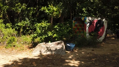 Graffiti art on empty jungle path near mangrove forest Stock-Footage 108760433