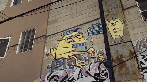 Graffiti, birdies reading and music Stock Footage 44751069