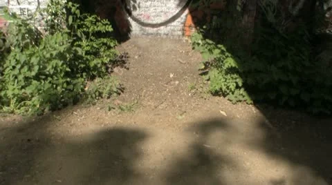Graffiti covered wall to a vegetation covered walkway Video stock 10735344