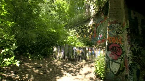 Graffiti covered wall to a vegetation Video stock 10735370