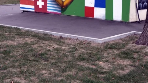 Graffiti with flags and cartoons. Vidéo 98643012