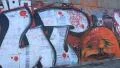 Graffiti HD Footage