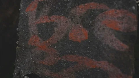 Graffiti in forest Stock Footage 90354917