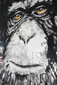 Graffiti of a gorilla Stock Photos