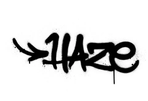Graffiti haze word sprayed in black over white Illustrazione stock