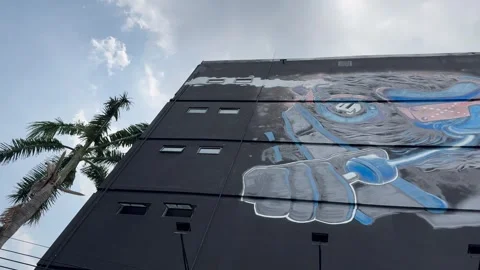 Graffiti on a large wall of an office building. Stock Footage 276956934