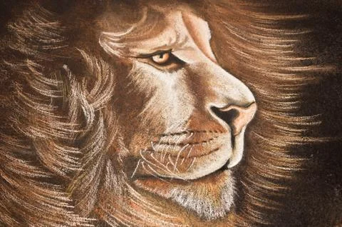 Graffiti of lion Stock Photos