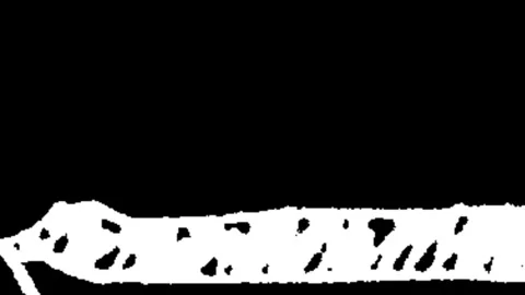 Graffiti Motion Pack 動画素材 313649076