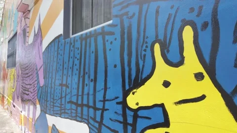 Graffiti in Newtown, Sydney Stock Footage 302398122