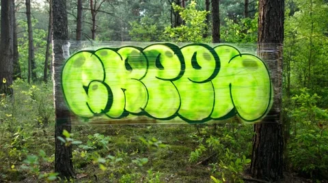 Graffiti paint in forest. Stock Footage 50894940