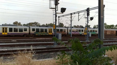 Graffiti on Parked Trains Stock Footage 102739560