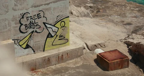 Graffiti on Seaside Concrete Wall Stock-Footage 336932414