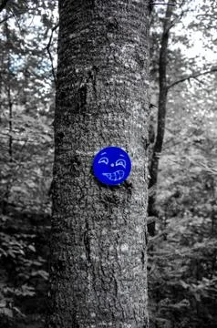 Graffiti on a Trail Marker Foto stock