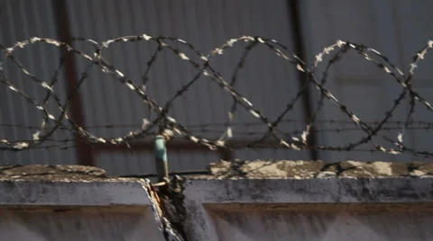 Graffiti from train window Stock Footage 53443847