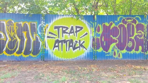 Graffiti Trap Attack Calea Victoriei Video stock 208157035
