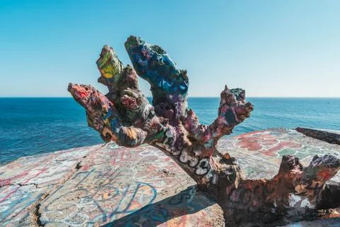 Graffiti Tree Branch Foto stock