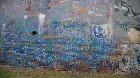 Graffiti Wall and Pigeons. Tracking Shot Vídeo Stock 98064034