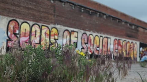 Graffiti on Wall Video stock 50776328