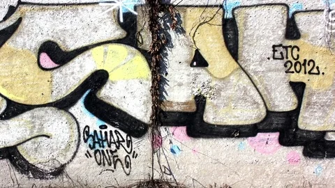 Graffiti on the wall Original Stock-Footage 73735664